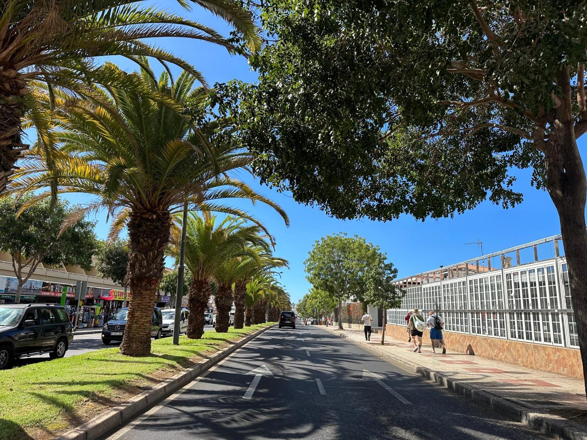 Apartment In Ocean Park Ii, Costa Adeje, Tenerife Екстер'єр фото